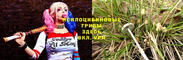 ALPHA-PVP Алексеевка
