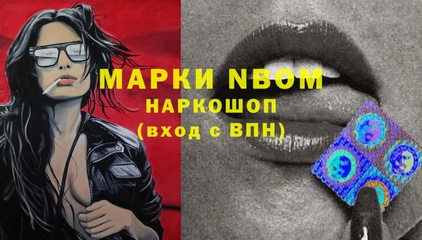 гидра Алзамай